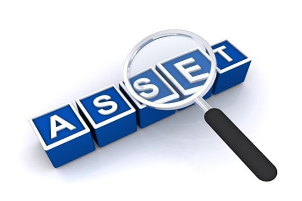 Asset Investigations